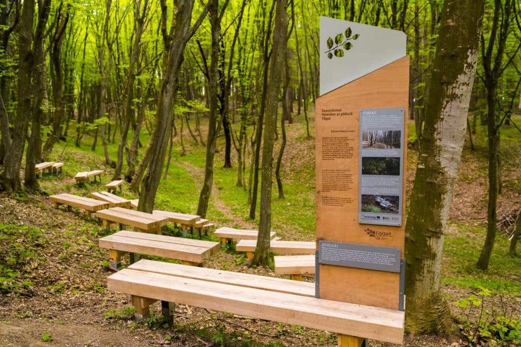 Padurea Parc Faget
