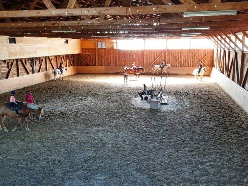 Napoca Sport Horse