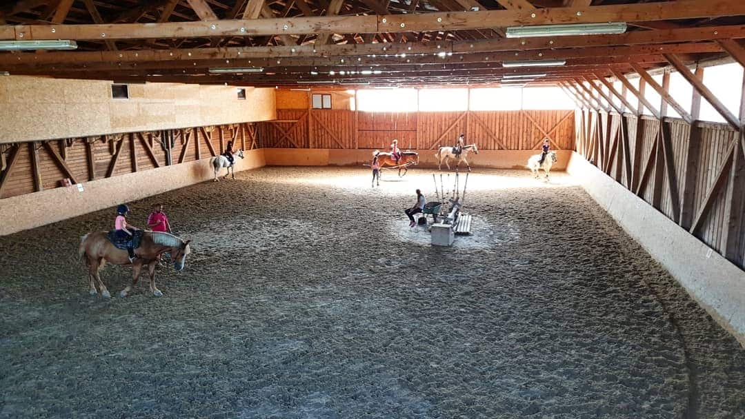 Napoca Sport Horse