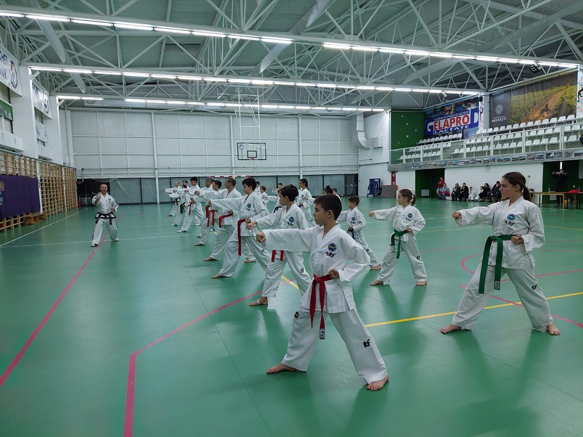 Asociația Club Sportiv Delta MMA – Taekwon-do ITF