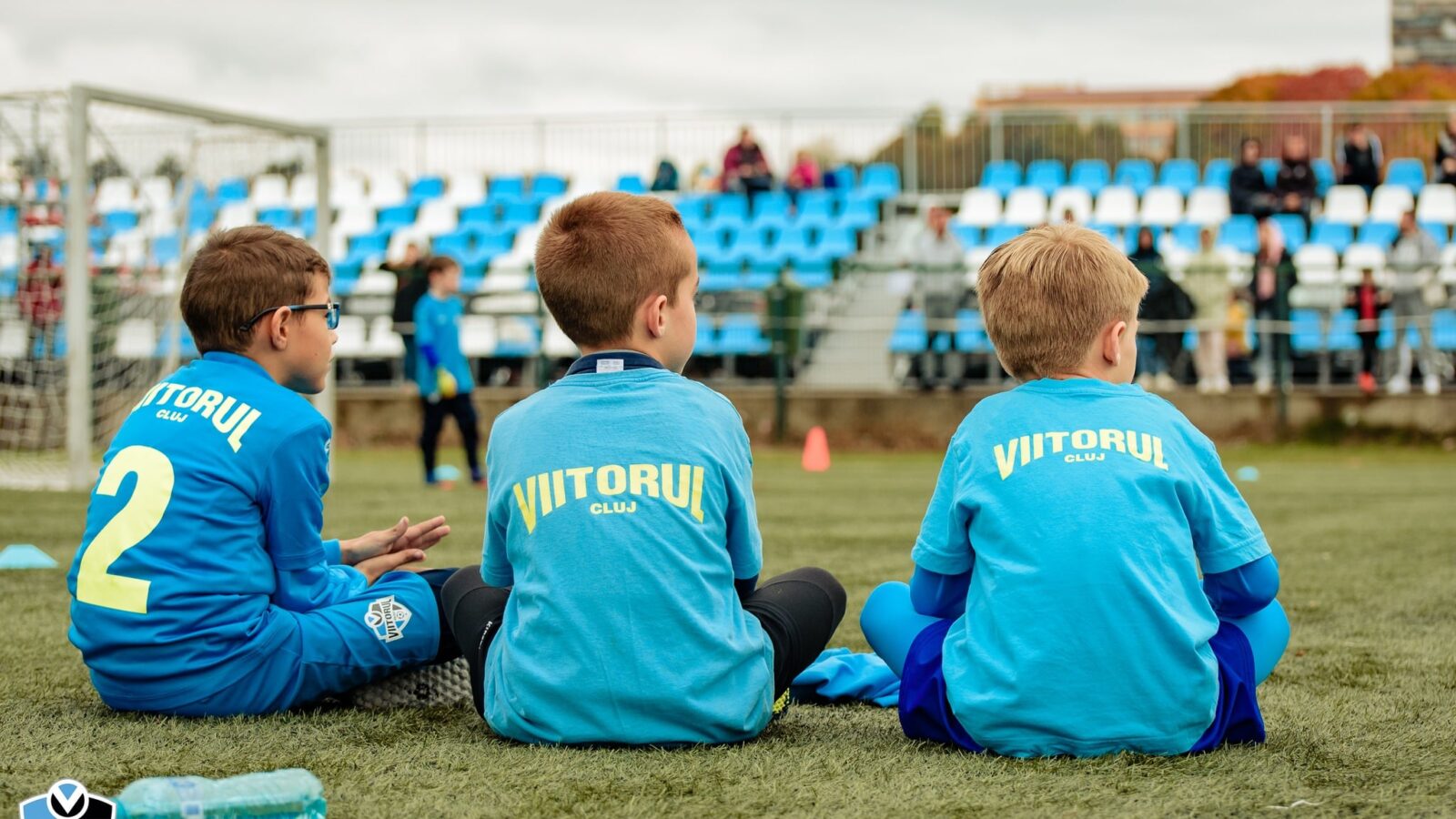 Academia de Fotbal Viitorul