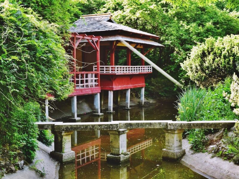 Grădina Botanică ”Alexandru Borza”