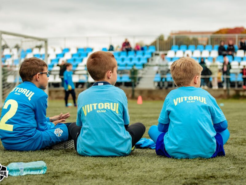 Academia de Fotbal Viitorul