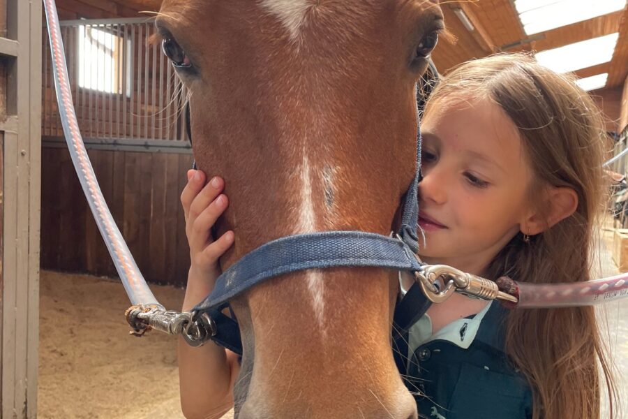 Cursuri de echitație pentru copii la Napoca Sport Horse