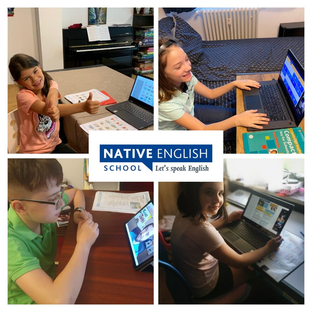 Native English School