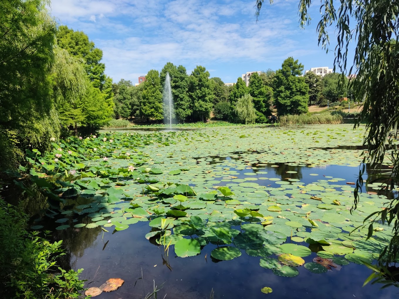 Parcul Circului