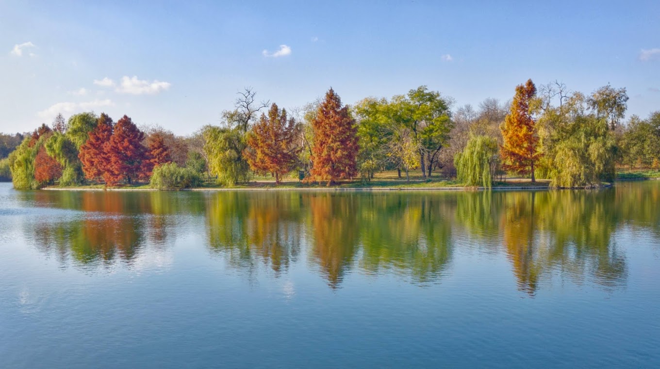 Parcul Tineretului