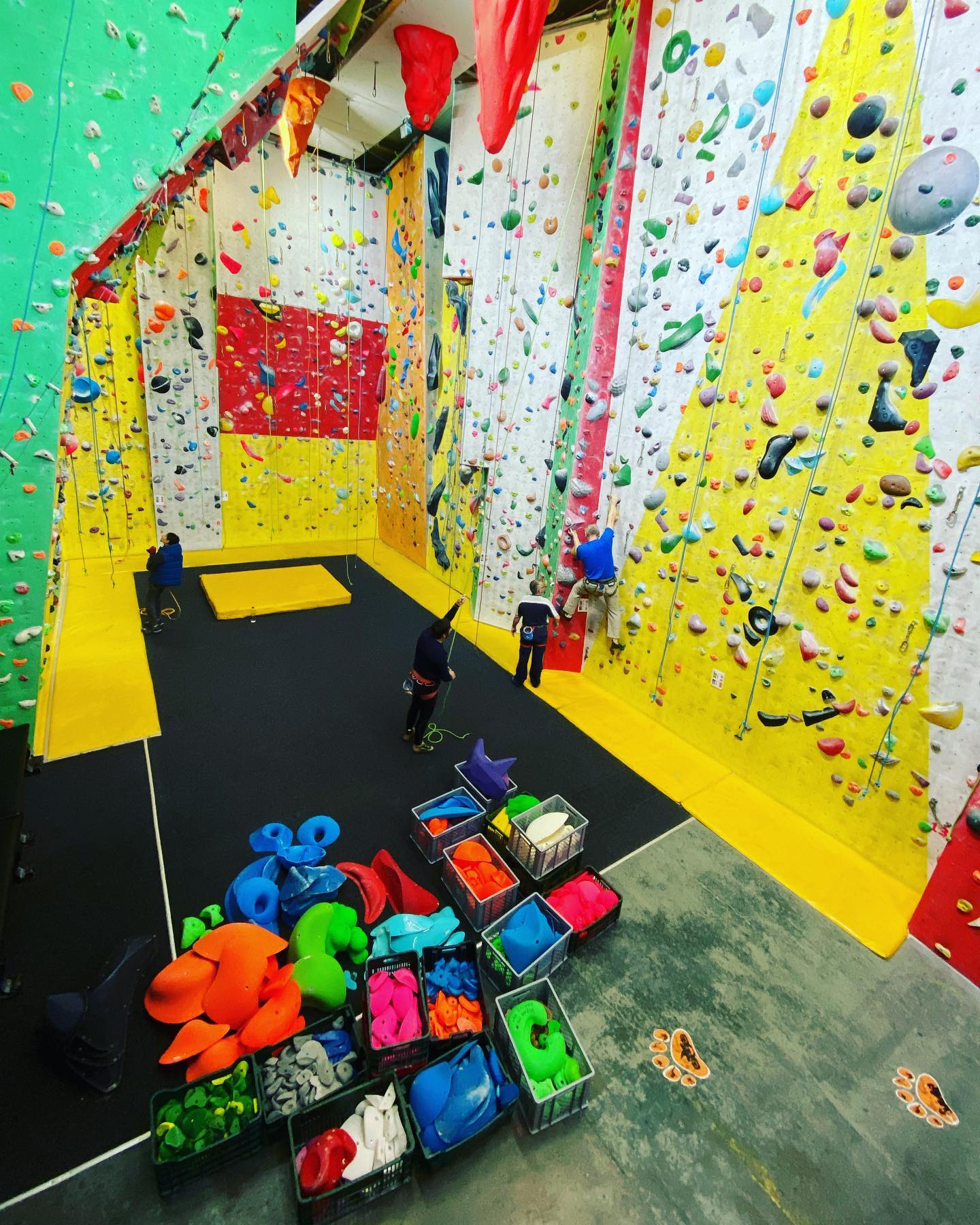 Cursuri de escaladă pentru copii la Carpatic Climbing Gym