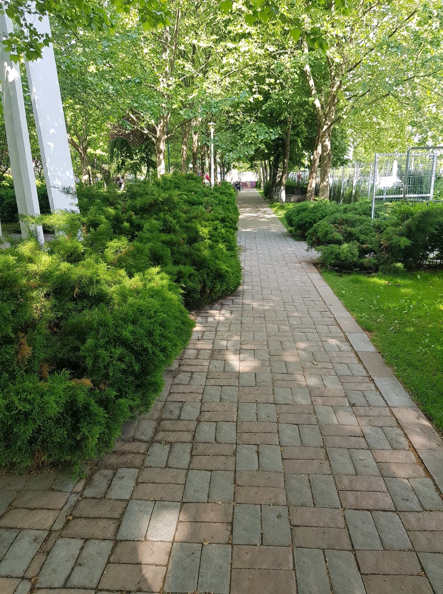 Parcul Păcii