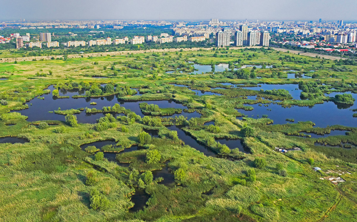 Parcul Natural Văcărești