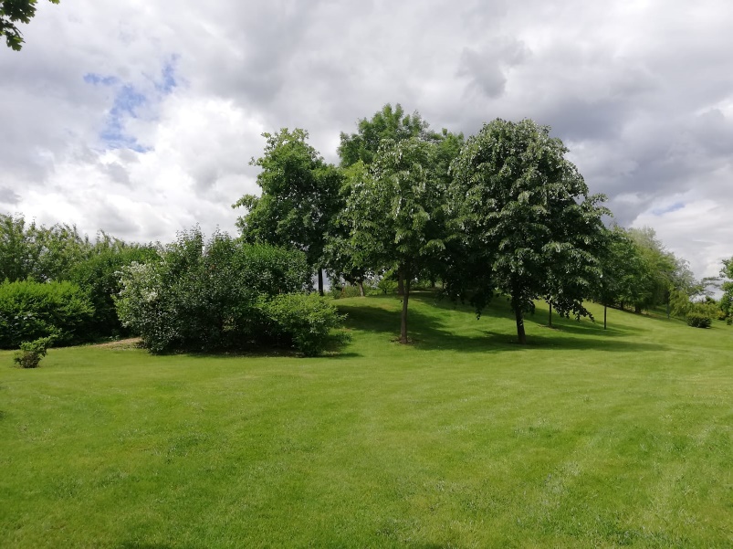 Parcul dendrologic Chitila