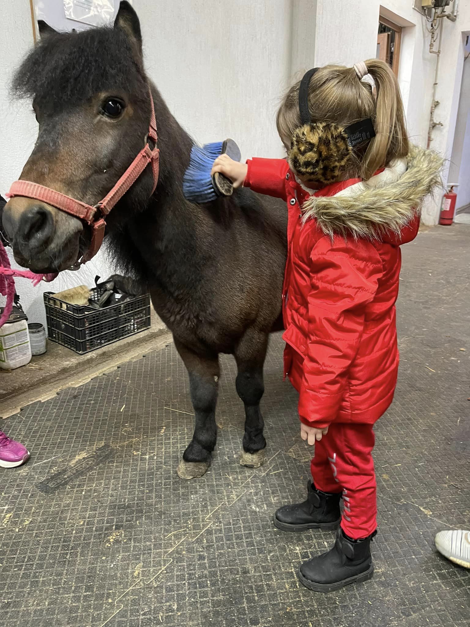 Cursuri de echitație pentru copii la Regatul Cailor