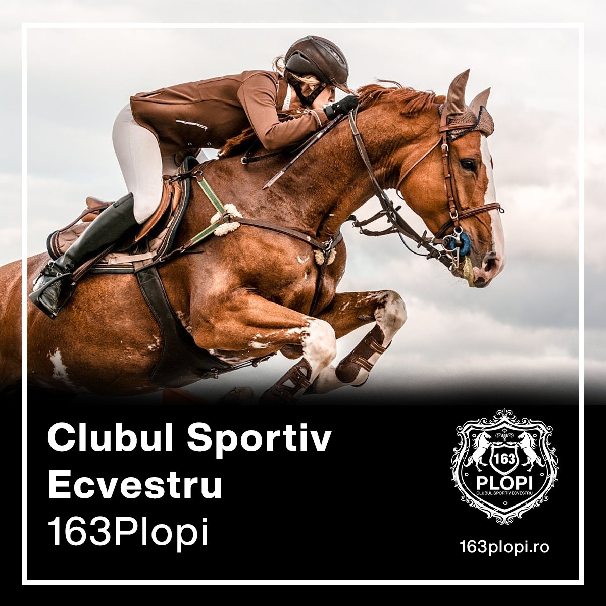 Clubul Sportiv Ecvestru 163 Plopi