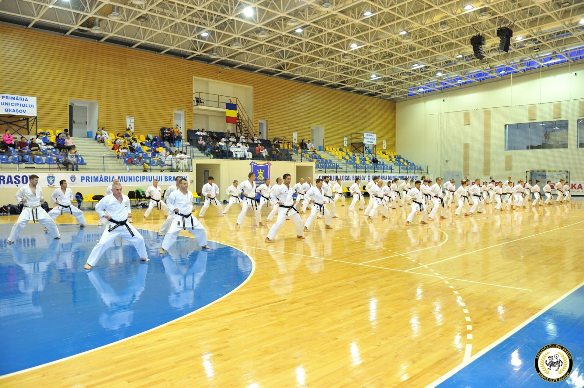 Cursuri de karate pentru copii la Club Sportiv Karate Elite Brașov