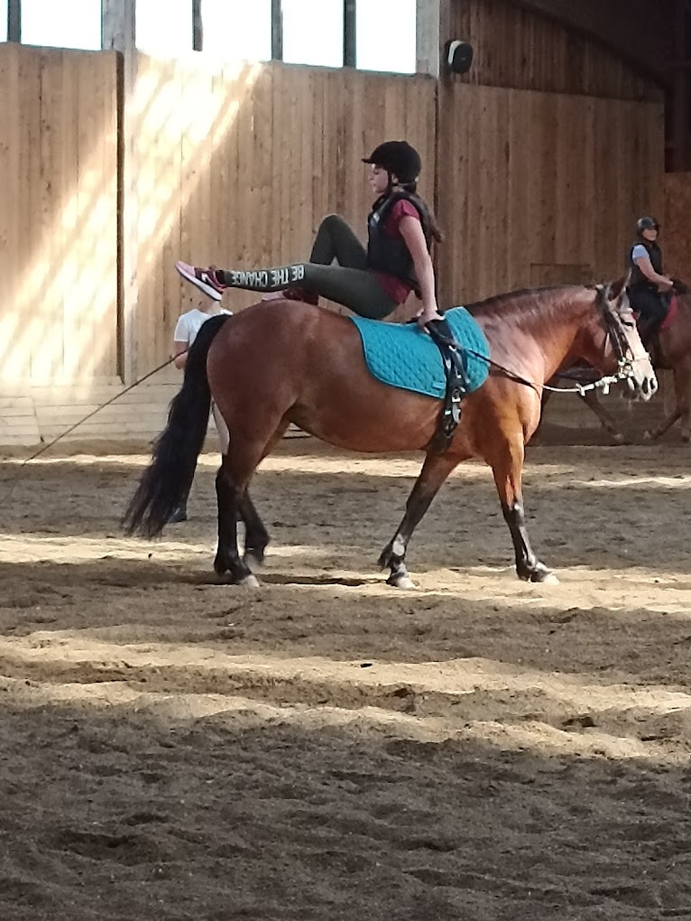 Cursuri de echitație pentru copii la Școală și Performanță Ecvestră, Equus Solis