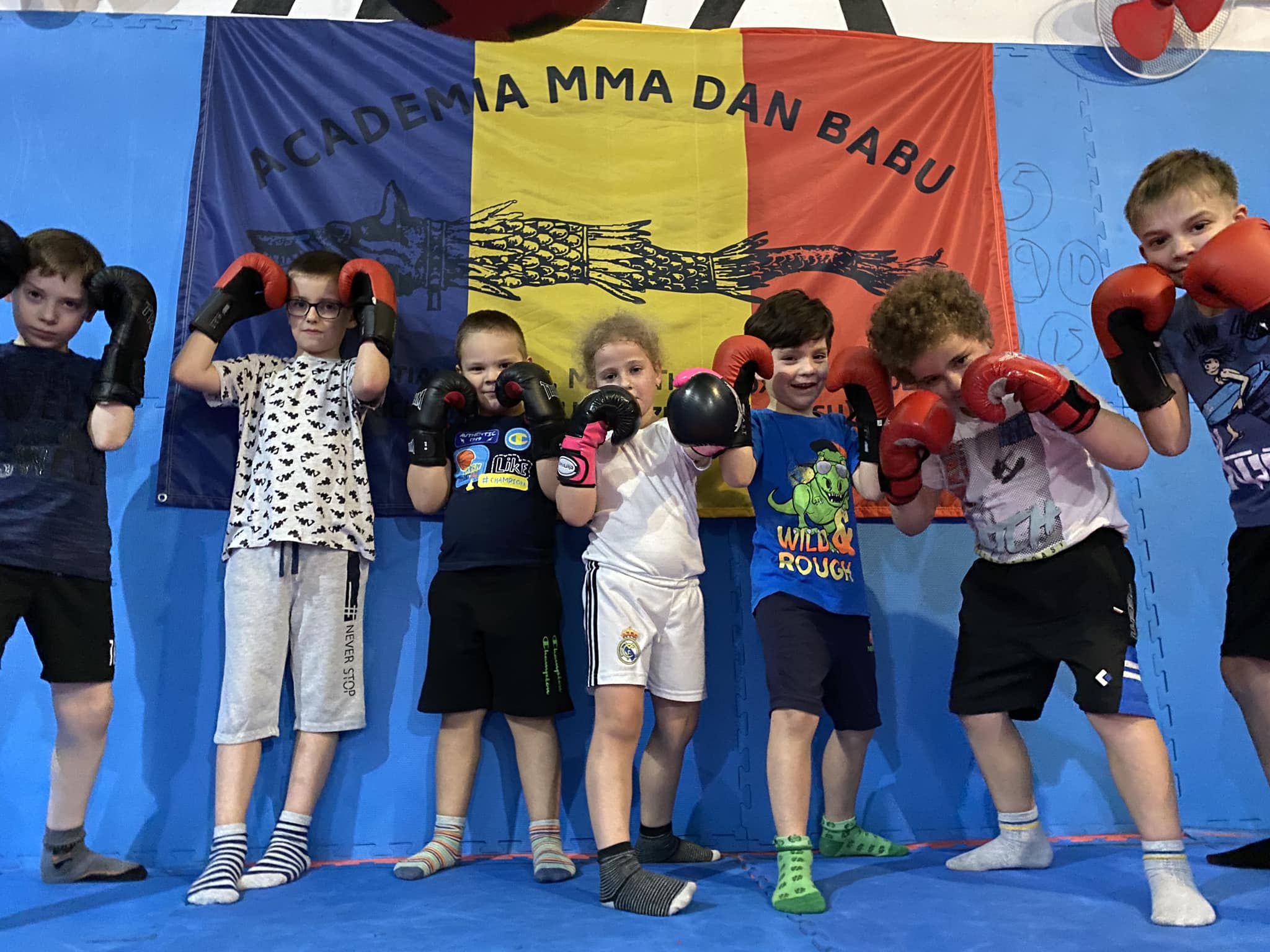Academia MMA Dan Babu