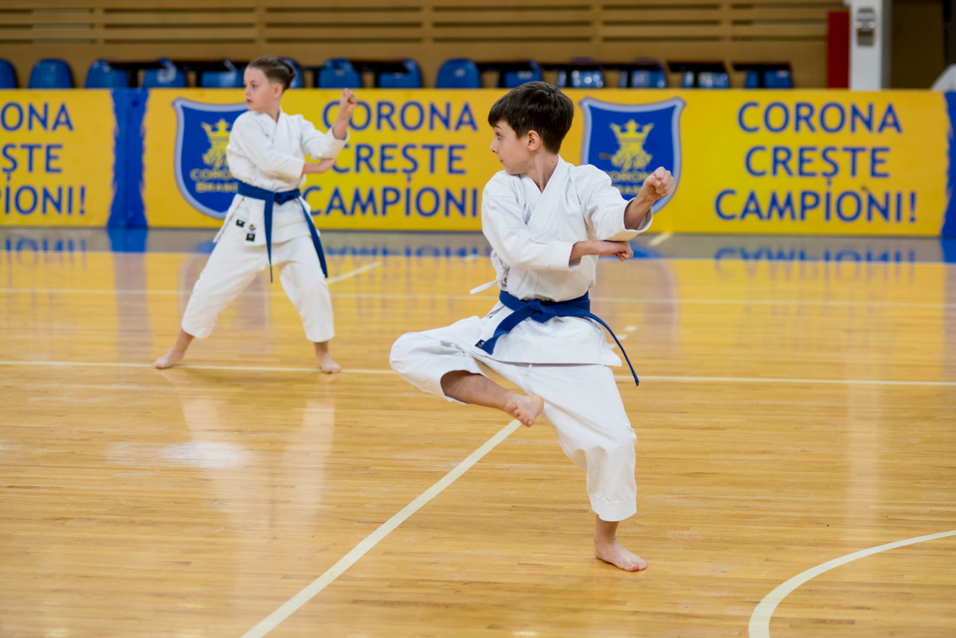 Cursuri de arte marțiale pentru copii la Club Sportiv Karate Brașov