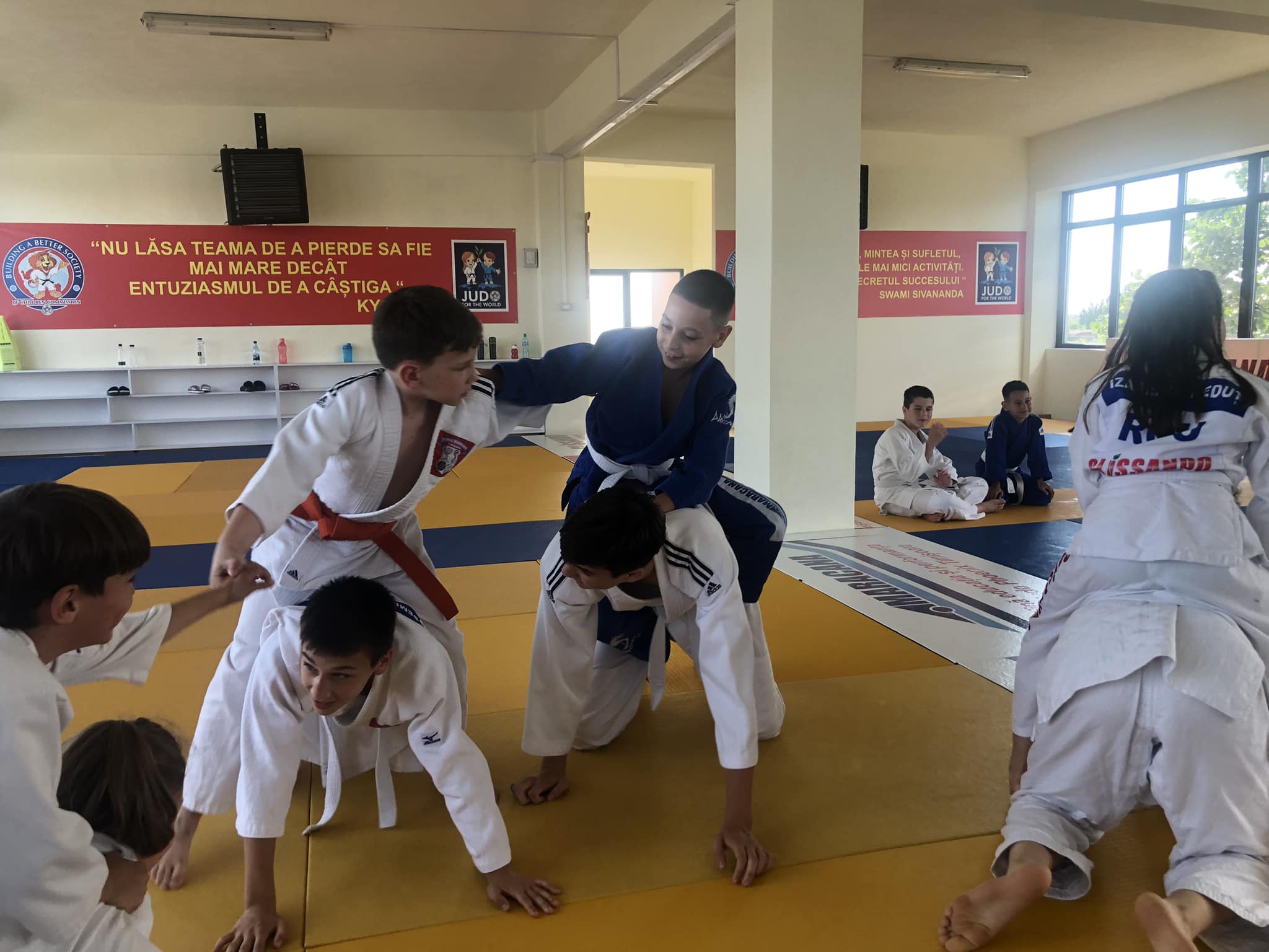 A.C.S. Phoenix Judo Timișoara