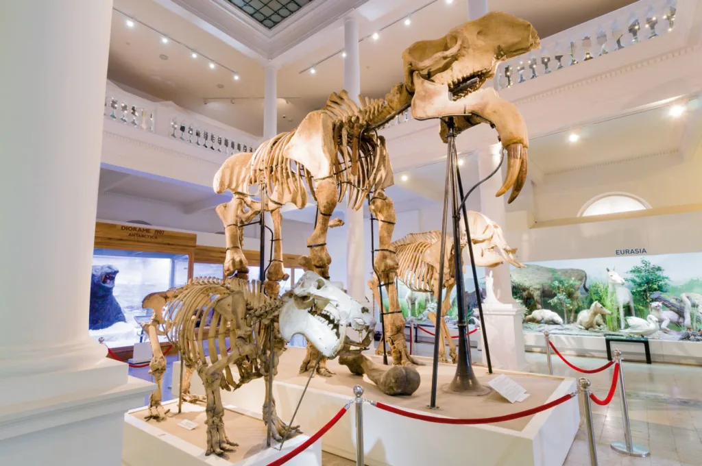 Muzeul Național de Istorie Naturală "Grigore Antipa"