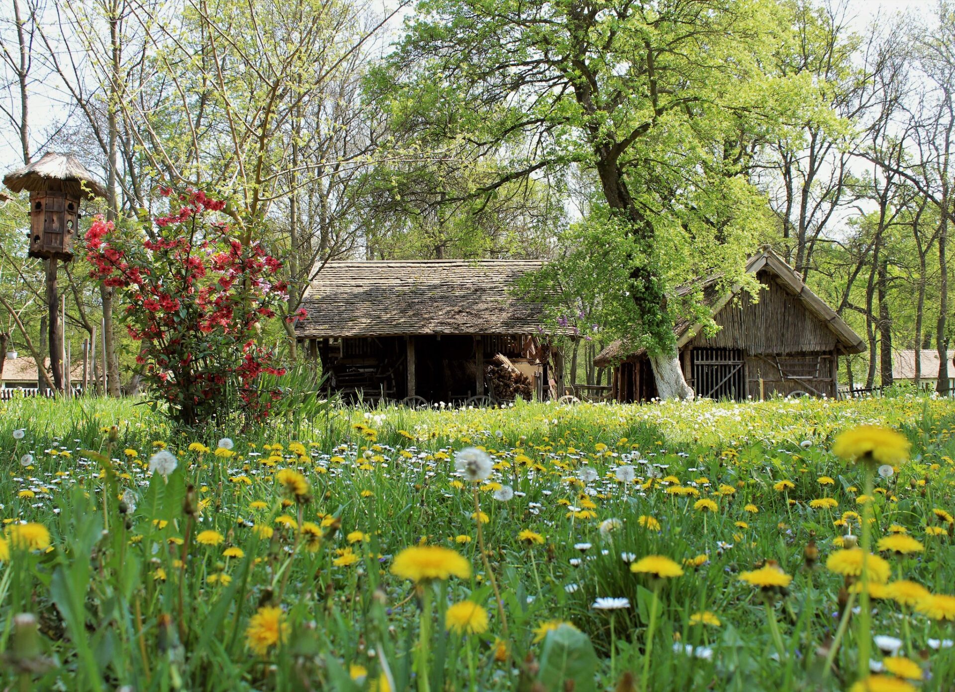 Muzeul Satului Bănățean