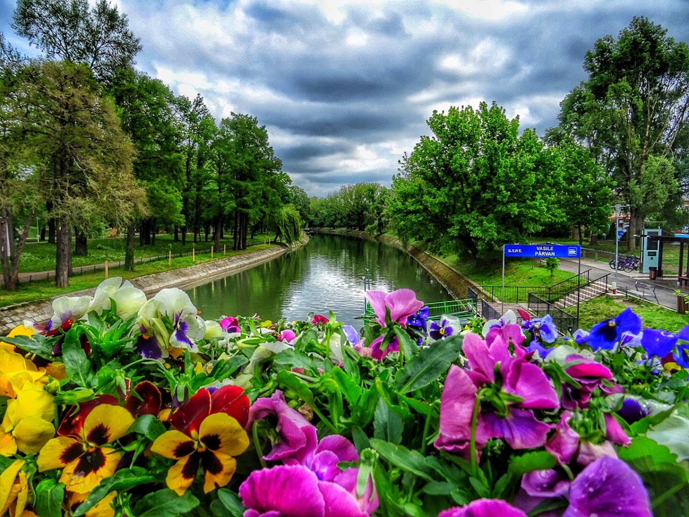 Parcul Rozelor (Timișoara)