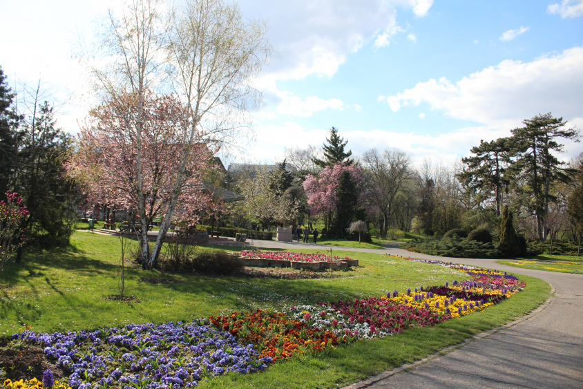Parcul Botanic din Timișoara