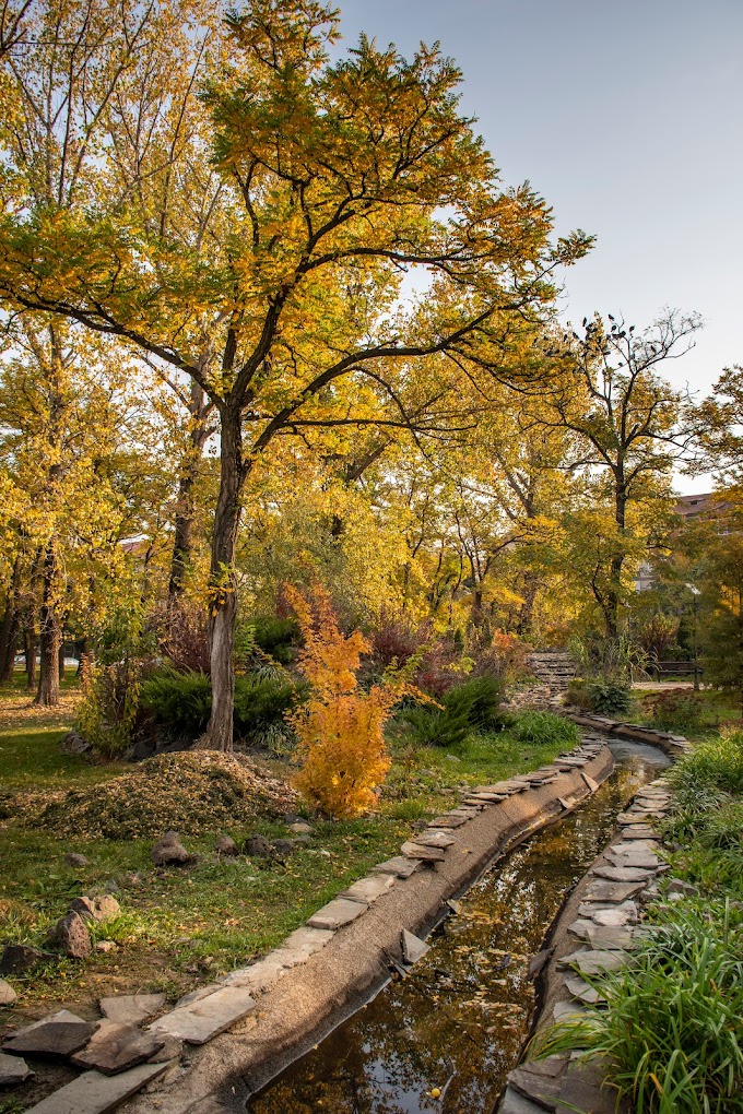 Parcul Lidia