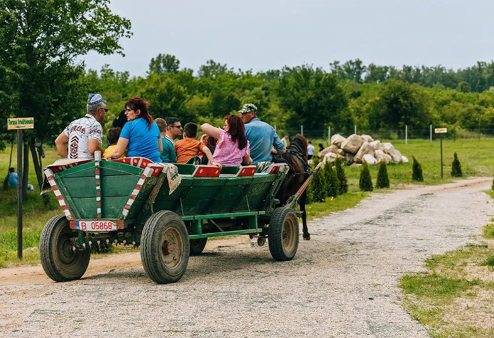 Parcul La Țară