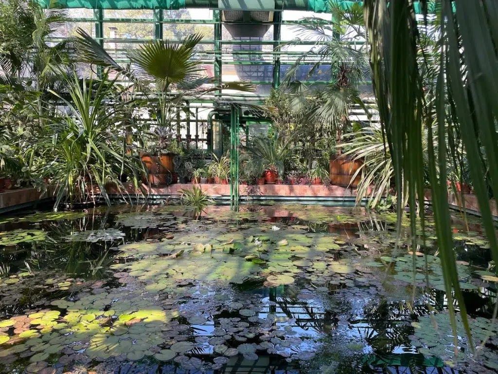 Grădina Botanică