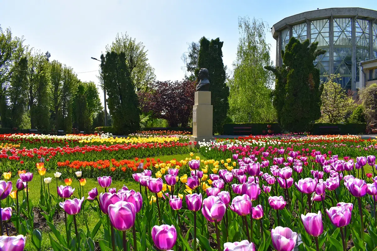Grădina Botanică Anastasie Fătu