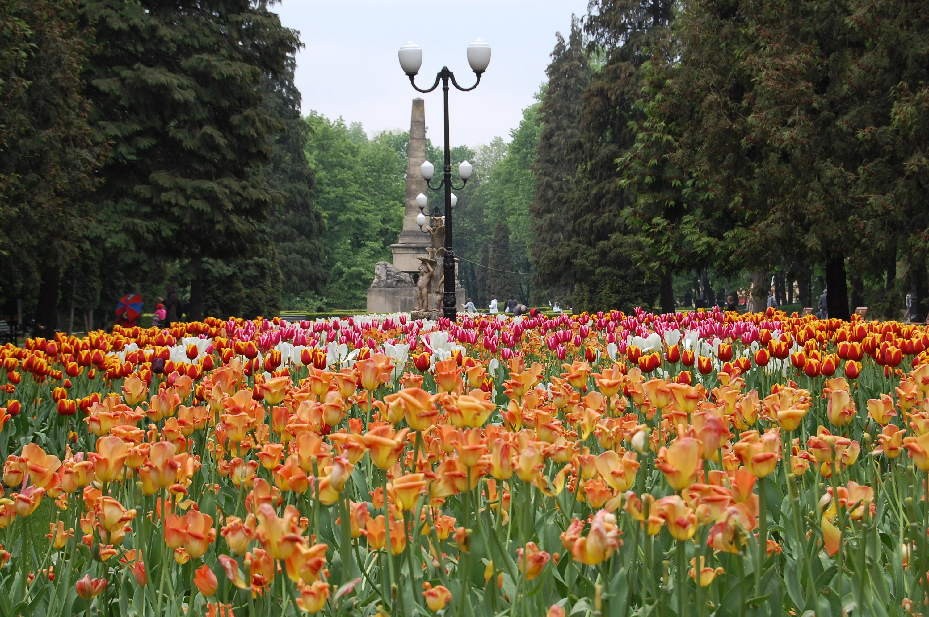 Parcul Copou
